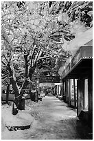 Sidewalk with fresh snow at night, Truckee. California, USA ( black and white)