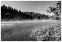 Early morning fog raising from Jenkinson Lake. California, USA ( black and white)