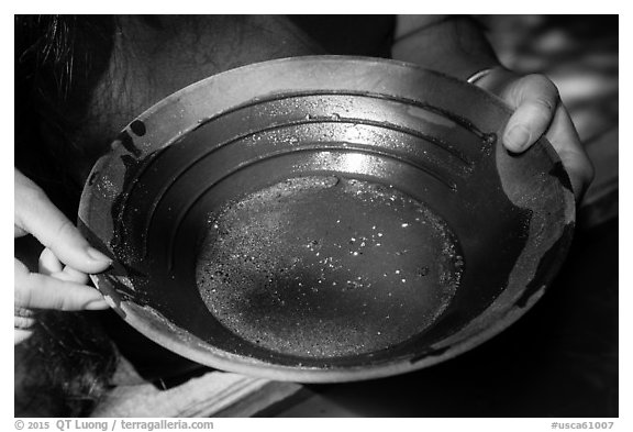 Hands holding pan with bits of gold, El Dorado County. California, USA (black and white)