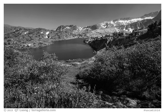 Wildflowers, stream, and lake, Twenty Lakes Basin, Inyo National Forest. California, USA (black and white)