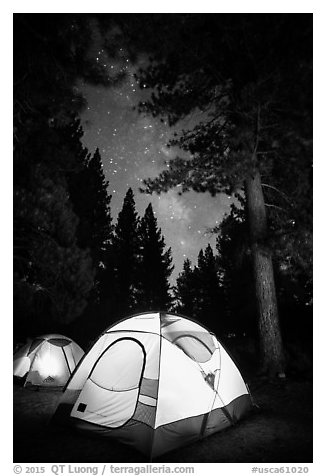 Lighted tents, forest, and Milky Way, Prosser Ranch Group Campground, Tahoe National Forest. California, USA (black and white)