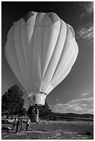 Just launched hot air balloon, Tahoe National Forest. California, USA ( black and white)