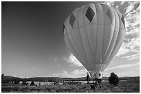 Hot air balloon carried after landing, Tahoe National Forest. California, USA ( black and white)