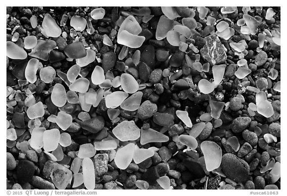 Seaglass close-up. Fort Bragg, California, USA (black and white)