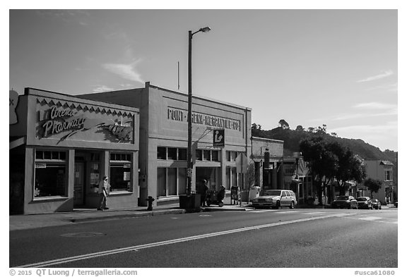 Main Street. California, USA (black and white)