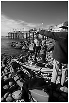 Abalone divers. California, USA ( black and white)