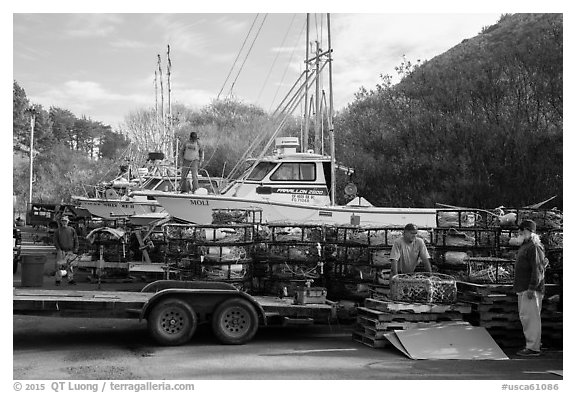 Dry harbor and crab traps. California, USA (black and white)