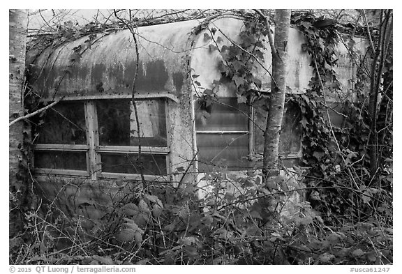Overgrown trailer, Klamath. California, USA (black and white)