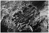 Aerial view of rocks, Cypress Point. Pebble Beach, California, USA ( black and white)