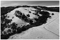 Aerial view of Evergreen Hills covered by hail. San Jose, California, USA ( black and white)