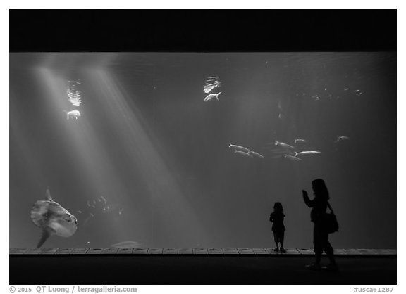 Mother and girl in front of huge fish tank, Monterey Bay Aquarium. Monterey, California, USA (black and white)