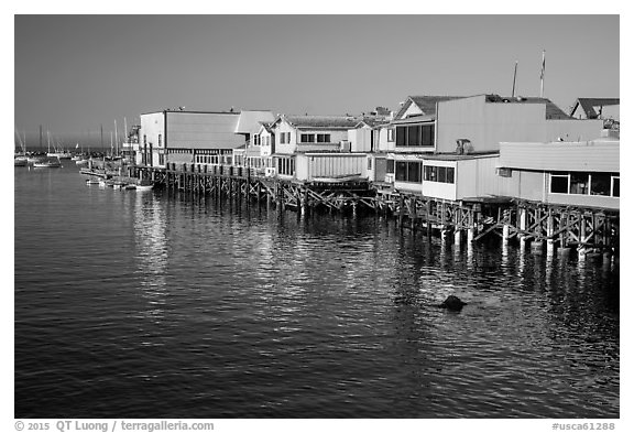 Wharf. Monterey, California, USA (black and white)