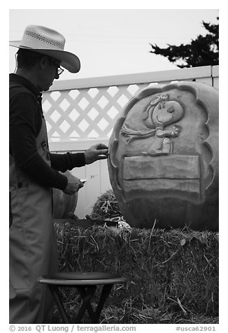 Man carving elaborate pumpkin. Half Moon Bay, California, USA (black and white)