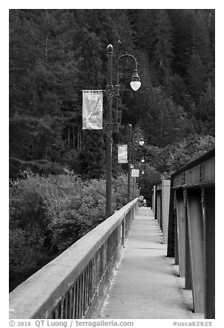 Bridge over Russian River, Monte Rio. California, USA (black and white)