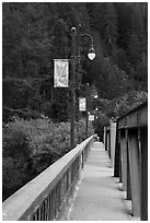 Bridge over Russian River, Monte Rio. California, USA ( black and white)
