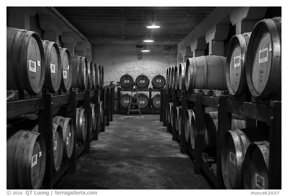 Barrels in cellar, Korbel Champagne Cellars, Guerneville. California, USA (black and white)