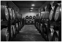 Barrels in cellar, Korbel Champagne Cellars, Guerneville. California, USA ( black and white)