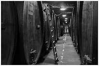 Huge barrels in cellar, Korbel Champagne Cellars, Guerneville. California, USA ( black and white)