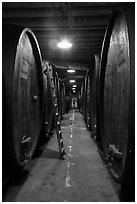 Huge barrels, Korbel Champagne Cellars, Guerneville. California, USA ( black and white)