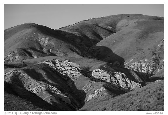 Temblor Range hills with wildflowers. Carrizo Plain National Monument, California, USA (black and white)