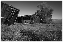 Traver Ranch. Carrizo Plain National Monument, California, USA ( black and white)