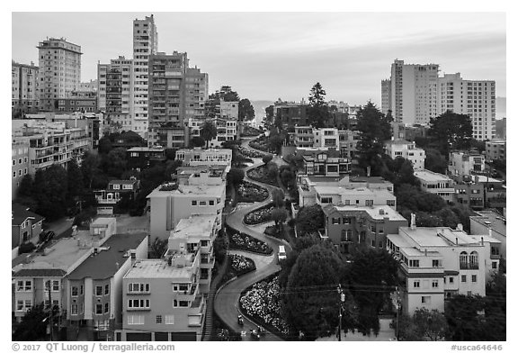 Aerial view of Lombard Street area. San Francisco, California, USA (black and white)