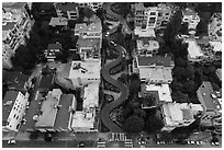 Aerial view of Lombard Street looking down. San Francisco, California, USA ( black and white)