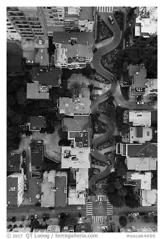 Aerial view of Lombard Street at dusk looking down. San Francisco, California, USA (black and white)