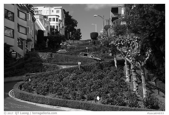 Crooked portion of Lombard Street. San Francisco, California, USA (black and white)