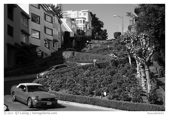 Cars descending Lombard Street. San Francisco, California, USA (black and white)