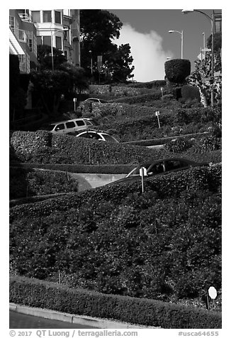 Lombard Street with cars on twists. San Francisco, California, USA (black and white)