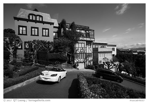 Distinctive houses on Lombard Street. San Francisco, California, USA (black and white)