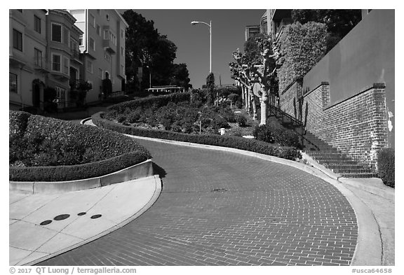Lombard Street curving roadway. San Francisco, California, USA (black and white)