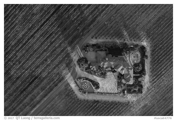 Aerial view of winery looking straight down. Livermore, California, USA (black and white)