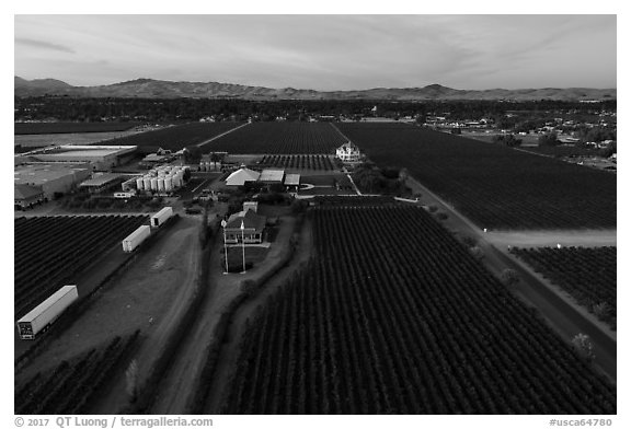 Aerial view of Concannon winery complex. Livermore, California, USA (black and white)