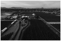 Aerial view of Concannon winery complex. Livermore, California, USA ( black and white)