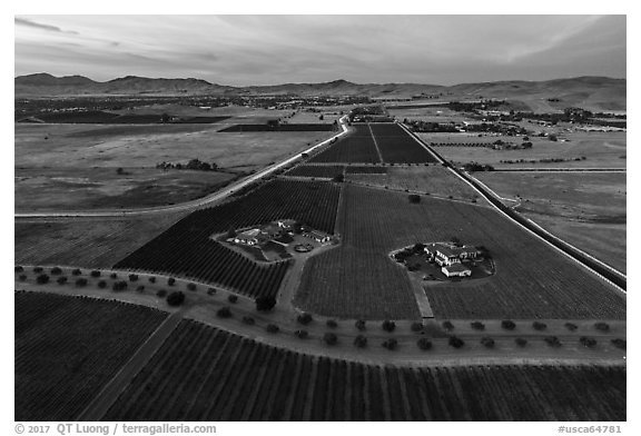 Aerial view of vineyards and wineries in summer, sunset. Livermore, California, USA (black and white)
