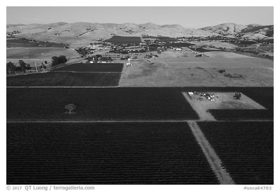 Aerial view of vineyards and hills at dusk. Livermore, California, USA (black and white)