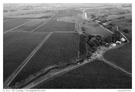 Aerial view of barns and  vineyards in autumn. Livermore, California, USA (black and white)