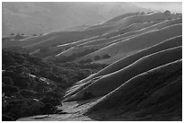 Oaks and ridges, late afternoon, Del Valle Regional Park. Livermore, California, USA ( black and white)