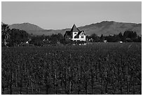 Winery. Livermore, California, USA ( black and white)