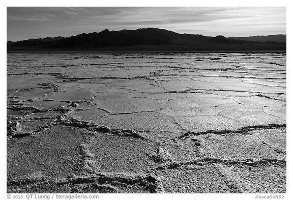 Salt flats near Amboy. California, USA (black and white)