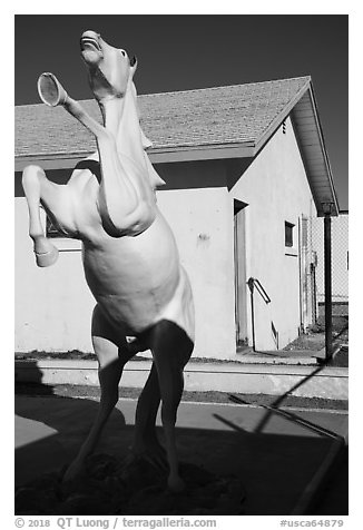 Horse sculpture, Amboy. California, USA (black and white)