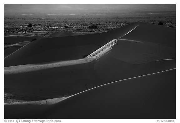 Backlit ridges, Cadiz Dunes Wilderness. Mojave Trails National Monument, California, USA (black and white)