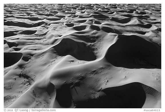 Aerial view of ridges and shadows, Cadiz Sand Dunes. Mojave Trails National Monument, California, USA (black and white)