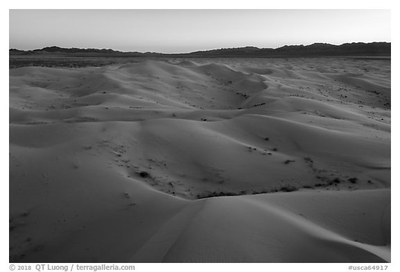 Aerial view of Cadiz Dunes Wilderness at dusk. Mojave Trails National Monument, California, USA (black and white)