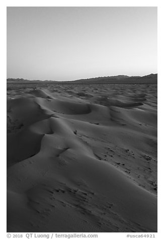 Aerial view of Cadiz Sand Dunes at dusk. Mojave Trails National Monument, California, USA (black and white)