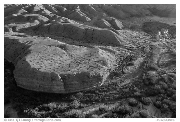 Aerial view of riparian vegetation and eroded hills, Afton Canyon. Mojave Trails National Monument, California, USA (black and white)
