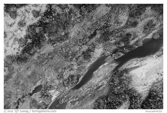 Aerial view of Mojave River looking down, Afton Canyon. Mojave Trails National Monument, California, USA (black and white)