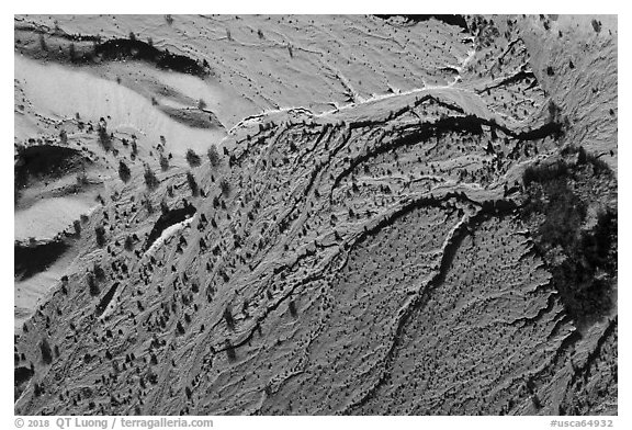 Aerial view of river wash, Afton Canyon. Mojave Trails National Monument, California, USA (black and white)